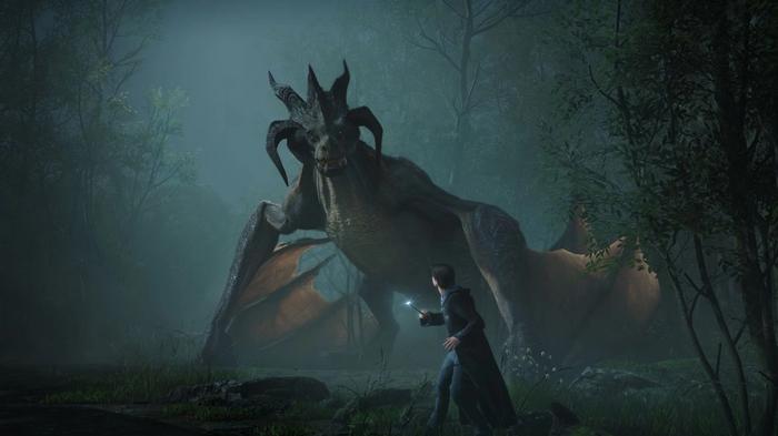 The character next to the dragon in the dark forest in Hogwarts Legacy.