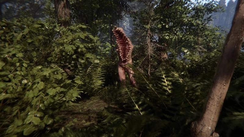 Sons of the Forest release date, UK launch time & PC requirements