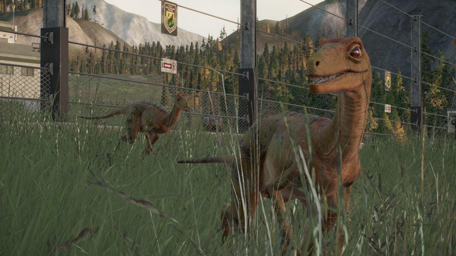 Jurassic World Evolution 2. A Troodon is in the foreground and a Troodon is in the background. Both are near the electric fence perimeter of their enclosure.