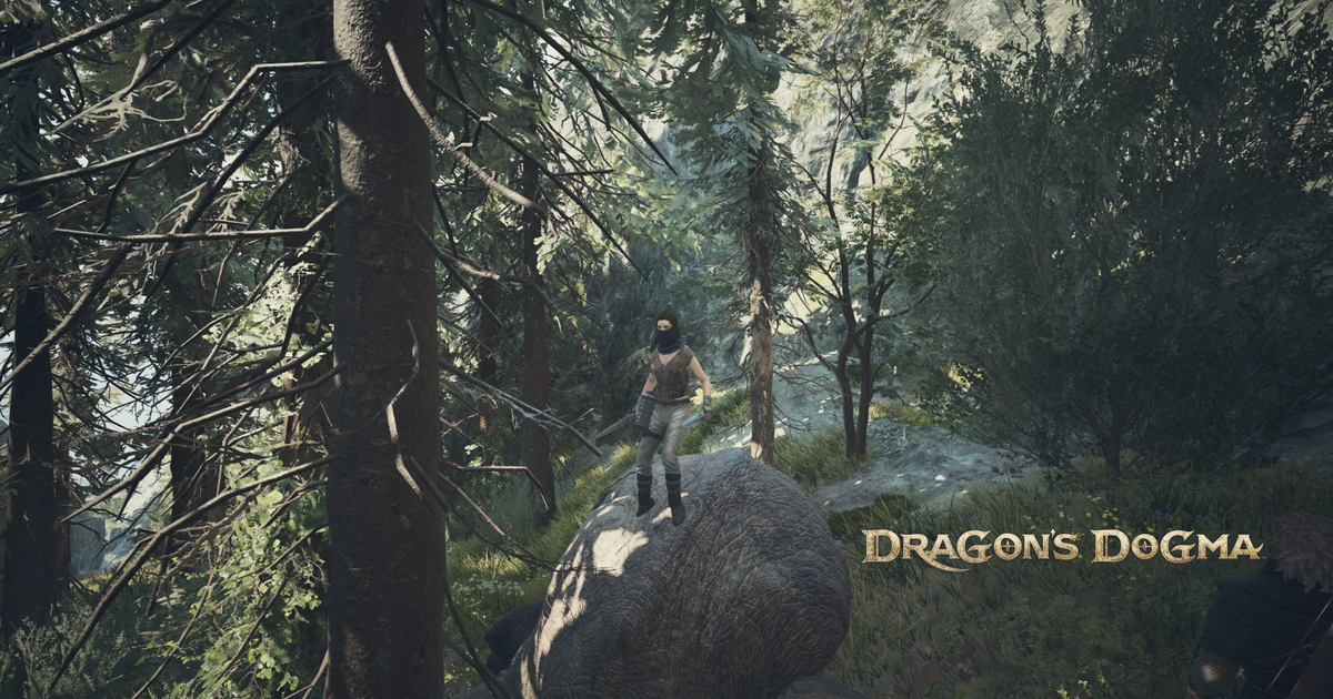 Dragon's Dogma 2 player standing on rock
