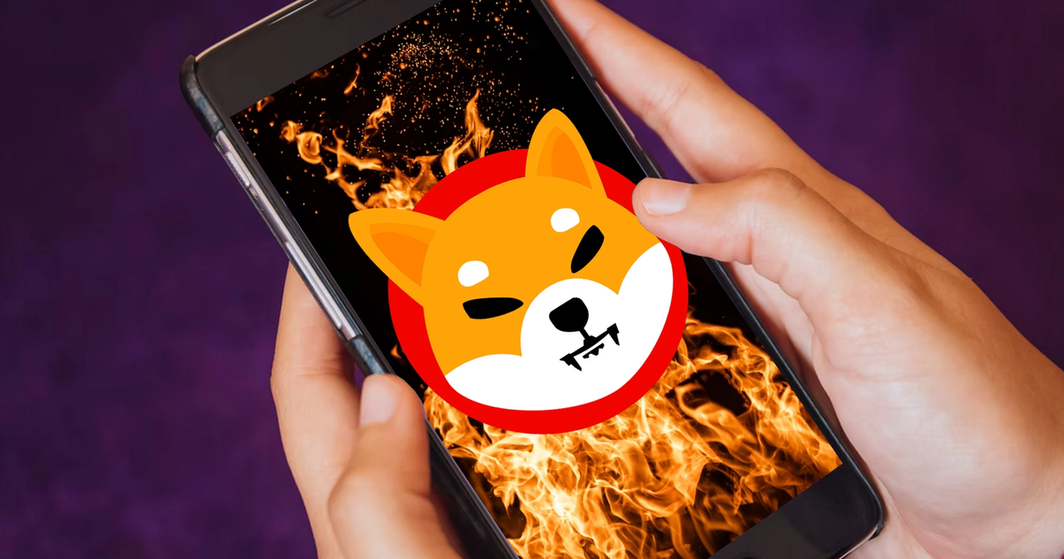 Shiba Inu Logo on Mobile Phone, after SHIB burn from Bricks Buster mobile game.