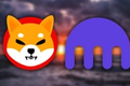 Image of Shiba Inu (SHIB) logo next to the Kraken logo against a blurred ocean background with a sunset.