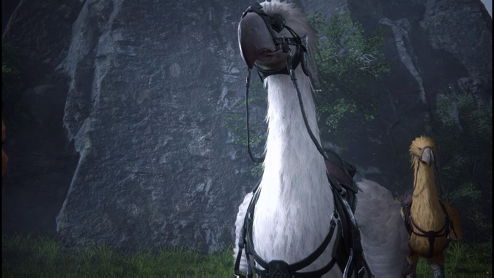 A Chocobo in Final Fantasy 16