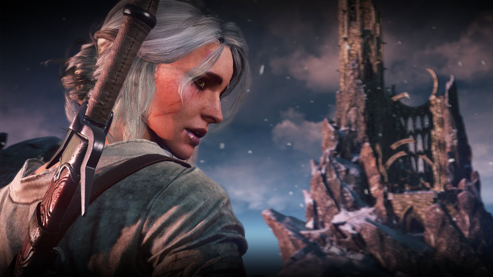 Witcher 3 Players Aren t Fans Of Ciri Sex Doll