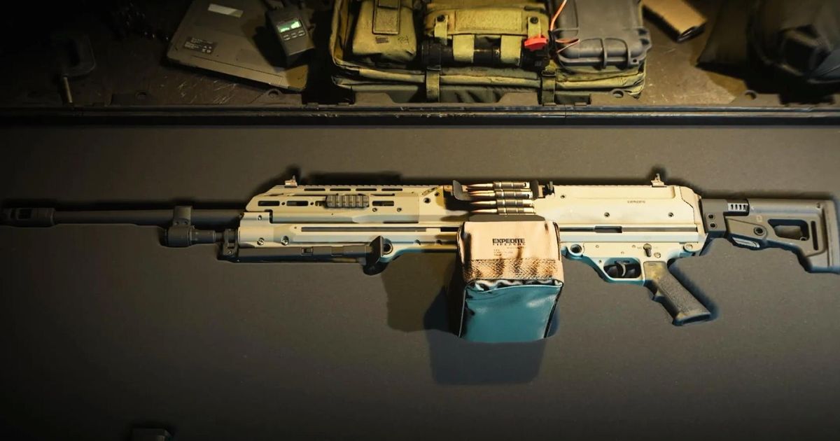 The RAAL MG in a gun case