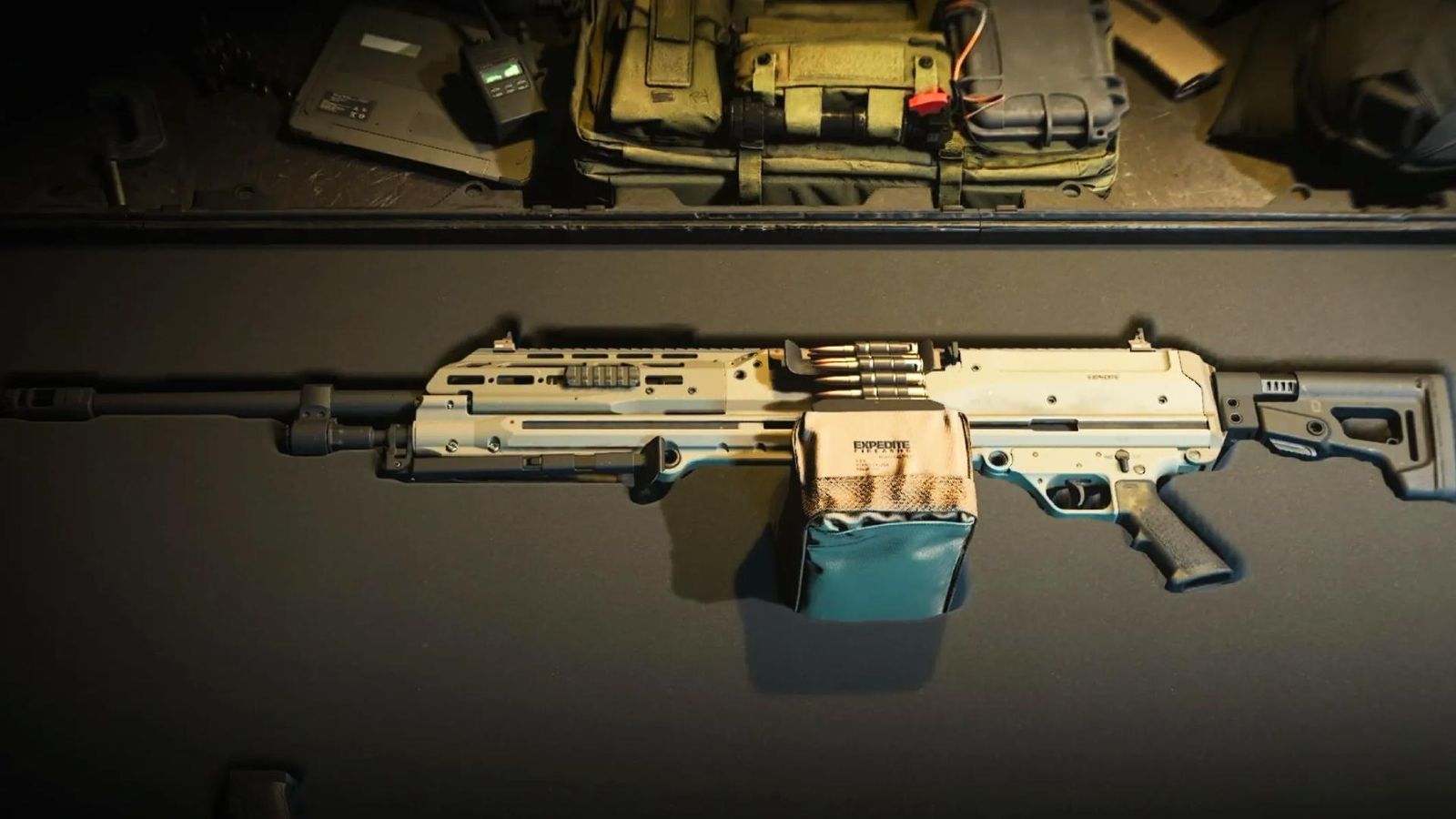 The RAAL MG in a gun case