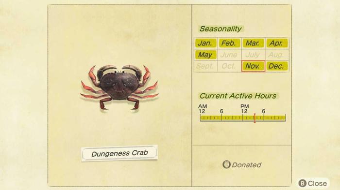 Animal Crossing New Horizons. Dungeness Crab Seasonality and Active Hours screen for Northern Hemisphere. This shows that the crab is active all day from November to May.