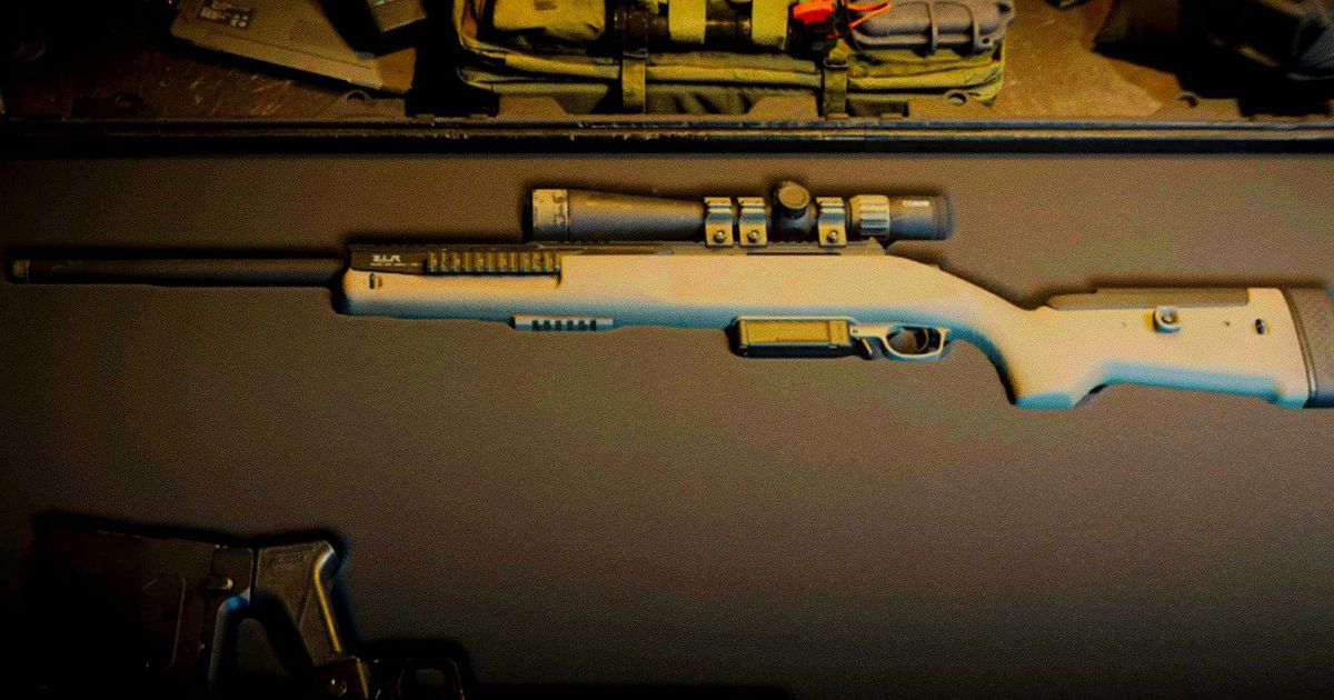 The LA-B 330 in a gun case