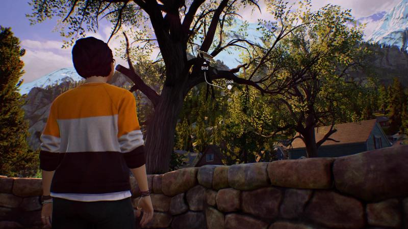 Life Is Strange: True Colors: How to Help the Birdwatcher Find Her Bird