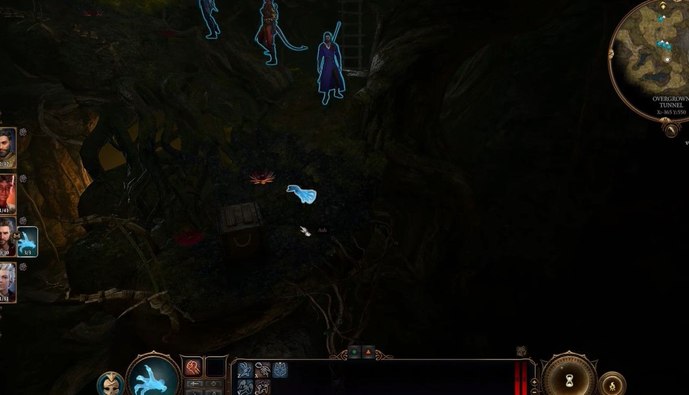 Peculiar Flower will explode upon contact in Baldur's Gate 3