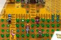 Stardew Valley Co-op Multiplayer farm