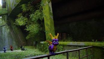A screenshot of Spyro in Skyrim.