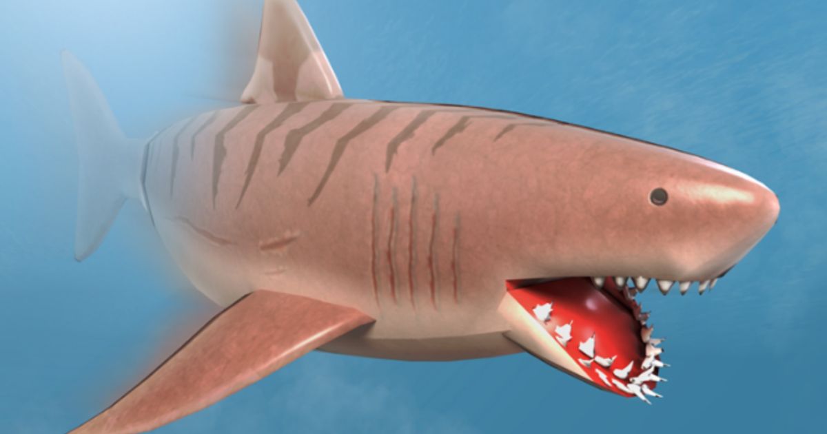 Image of a Roblox shark in SharkBite.