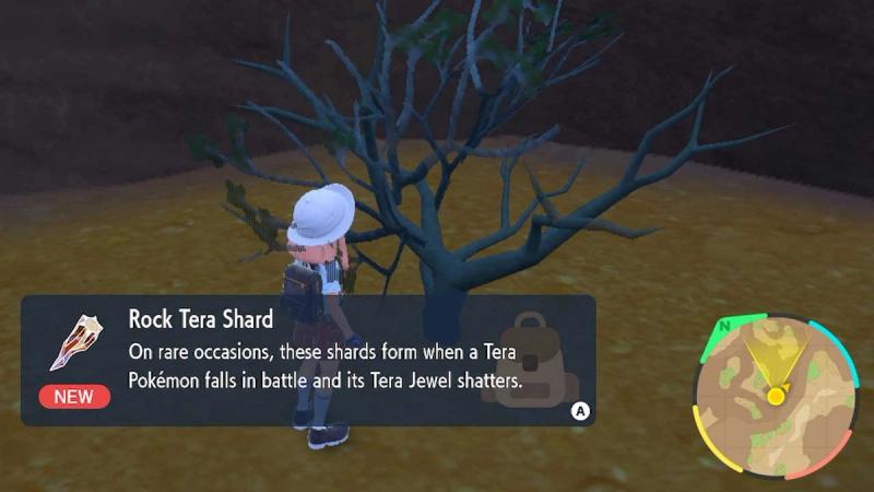 Change Your Pokemon Tera Type Choose How Many Shard Pokemon Scarlet Violet  SV