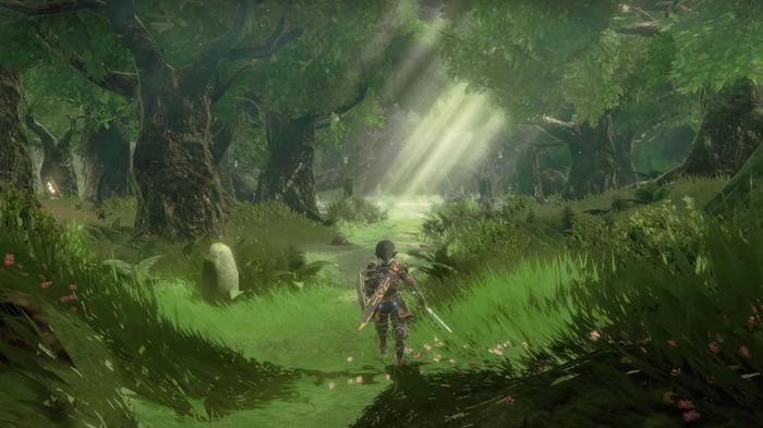 Link is somewhere in the forest in Zelda Tears of the Kingdom.