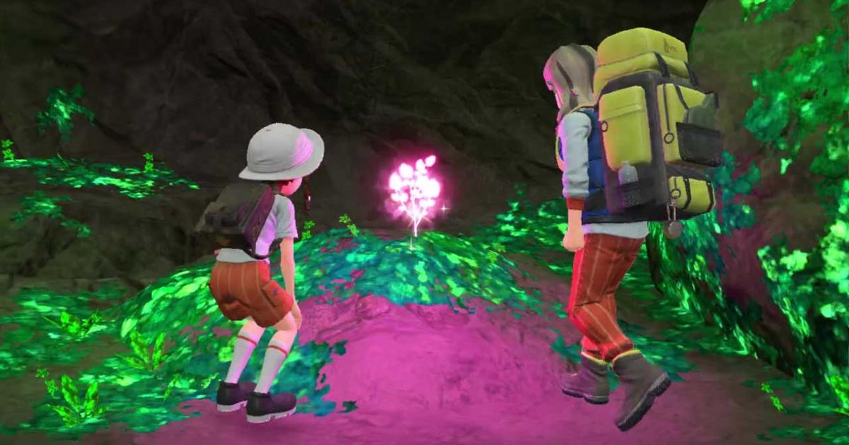 Two trainers finding Herba Mystica in Pokemon Scarlet and Violet.