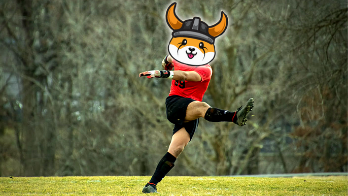 Image of a football goalkeeper kicking, in a red shirt, with the Floki Inu logo on his head.