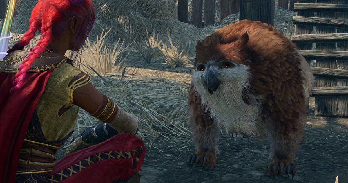 The player attempts to interact with an Owlbear Cub.