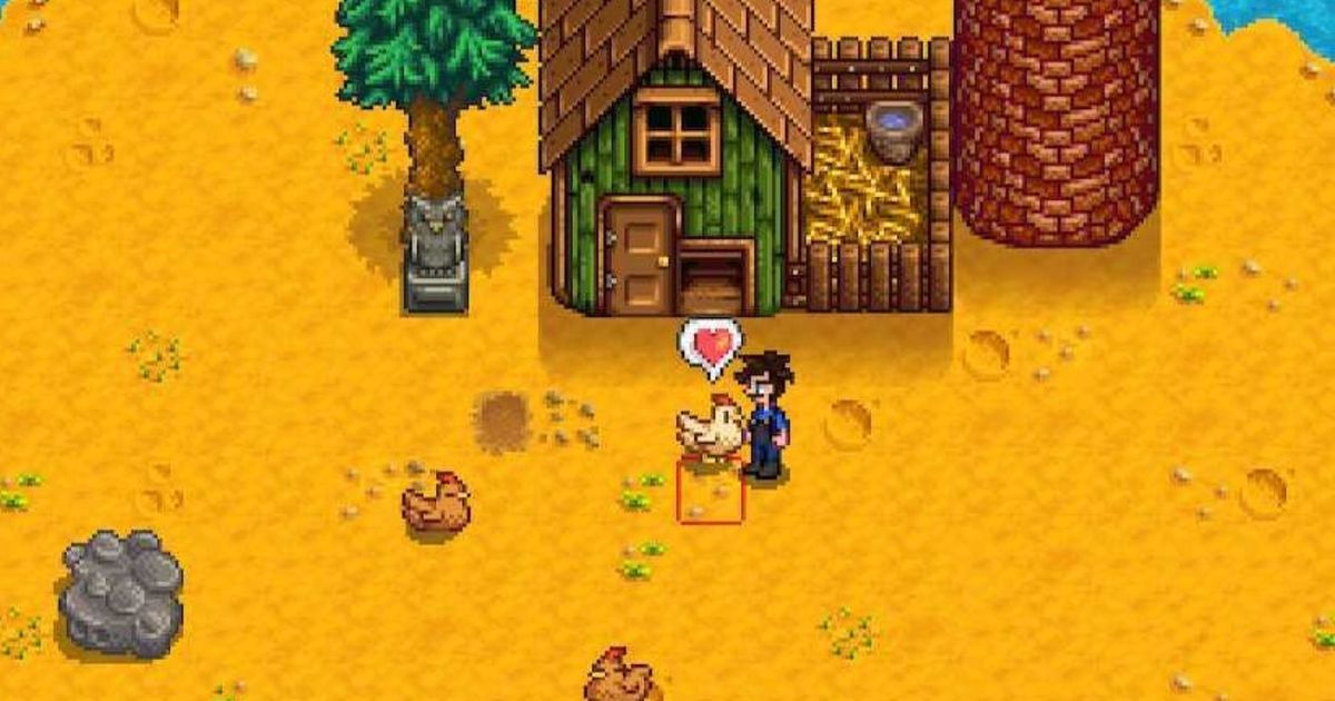 feed chickens in Stardew Valley