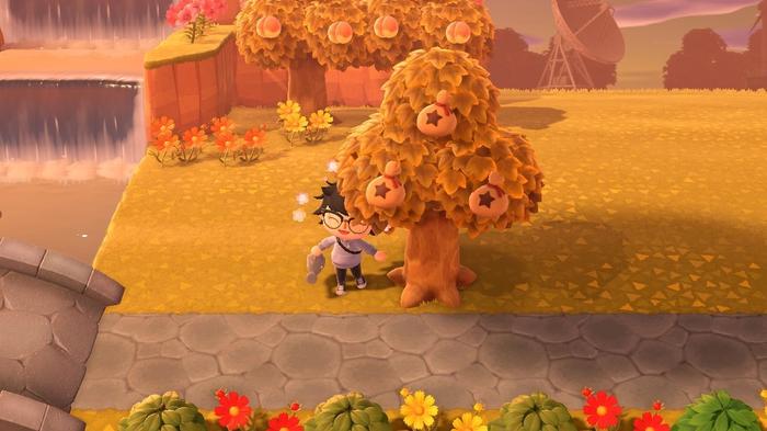 A player standing beside a money tree in Animal Crossing: New Horizons.