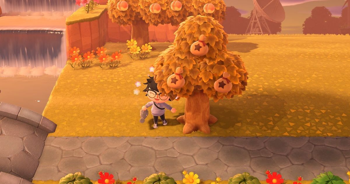 A player standing beside a money tree in Animal Crossing: New Horizons.