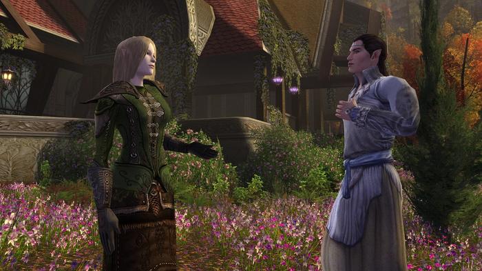 Two NPCs talking in The Lord of the Rings Online.