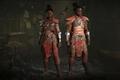 Two armour-clad warriors in Diablo 4.
