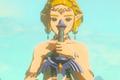 Zelda Tears of the Kingdom: The character with a sword