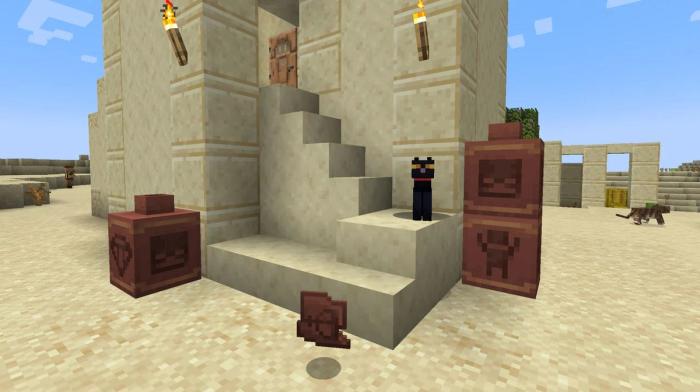 The Pottery and Pottery Shards you can finds from Suspicious Sand in Minecraft