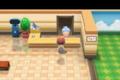A Pokémon Trainer stands in front of an Elder at Solaceon Nursery  in Pokémon Brilliant Diamond and Shining Pearl.
