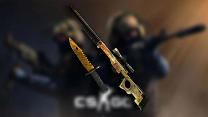 items in counter strike