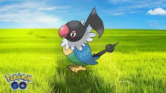 how-to-catch-chatot-in-pokemon-go
