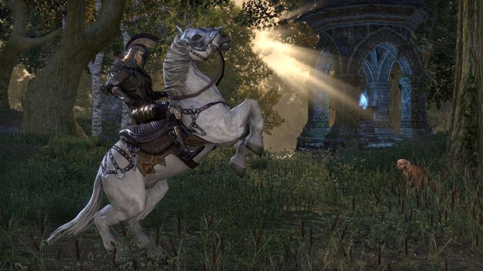 The character on the horse in ESO.