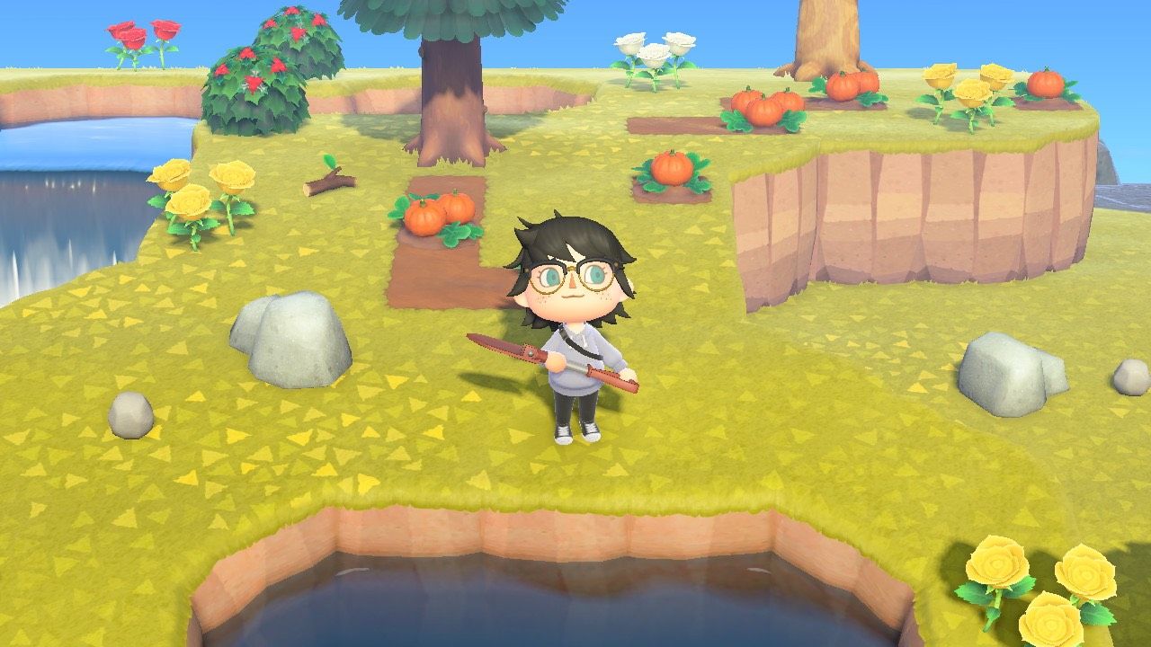 A player on a Kapp'n Island Tour in Animal Crossing: New Horizons.