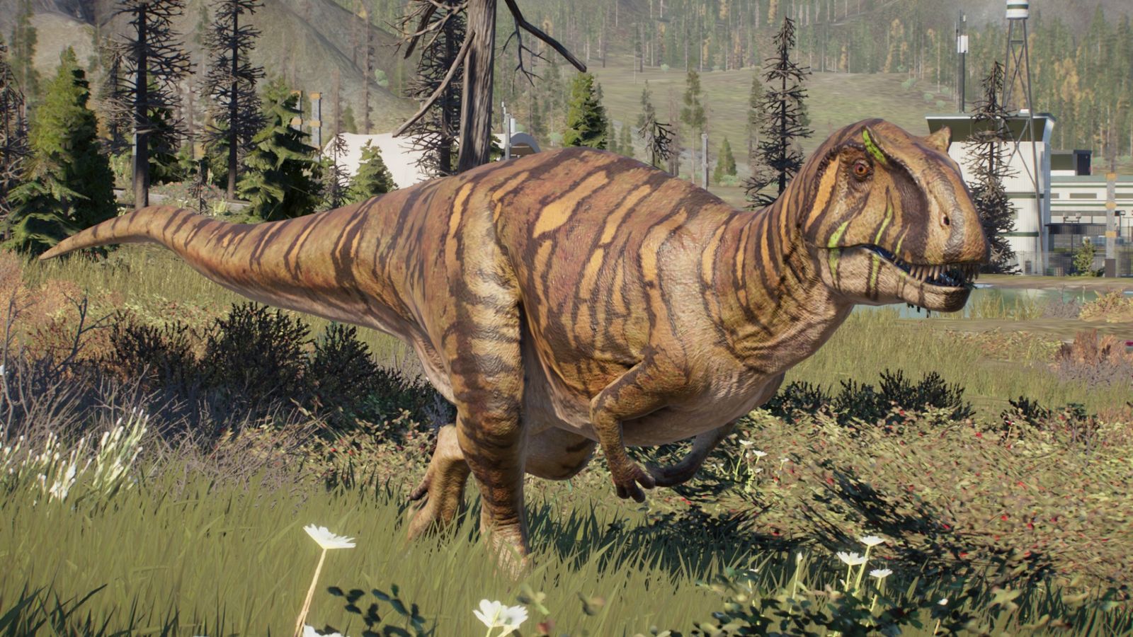 Jurassic World Evolution 2 Metriacanthosaurus roaming freely near facility buildings