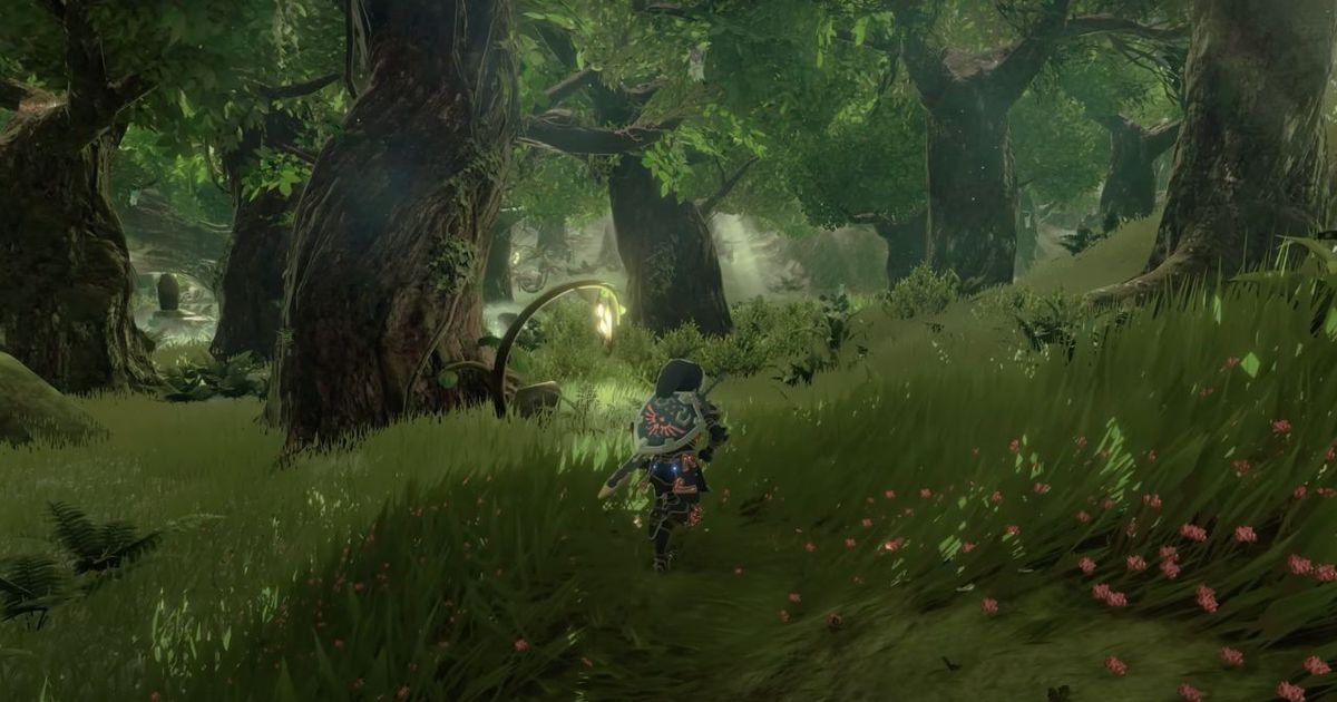 Link in a forest in Zelda Tears of the Kingdom.