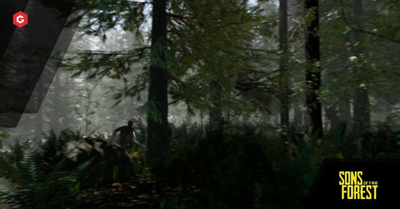 The forest for xbox 2024 one