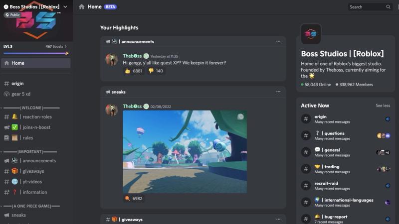 Fruit Piece Discord link - how to get access and support