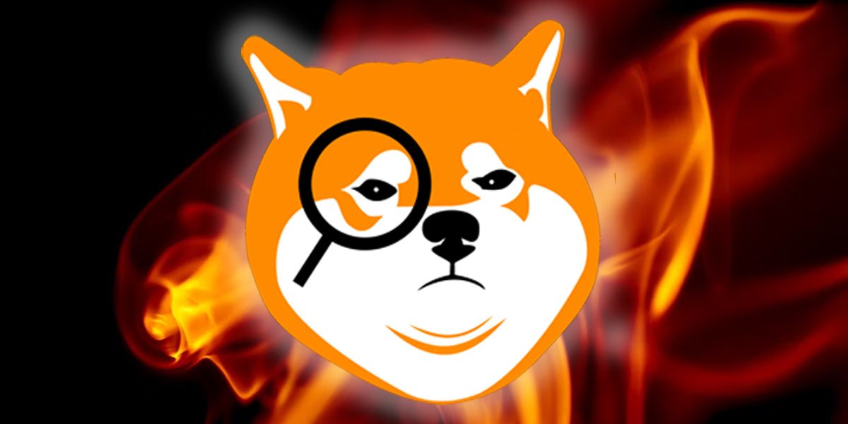 Shiba Search Logo on flame background