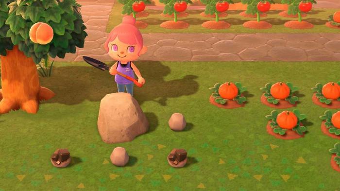 Animal Crossing New Horizons. The player is standing by a rock that they have hit to get out iron nuggets. There are two iron nuggets and two stones. The player is standing behind the stone holding a shovel.