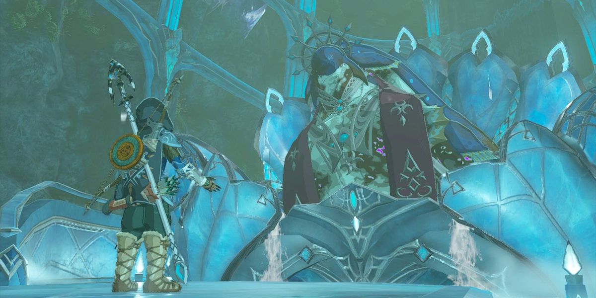 Link speaking to King Dorephan in Zelda Tears of the Kingdom.