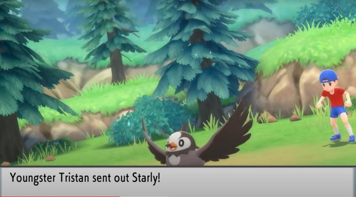 Youngster Tristan, sending out Starly for battle, in Pokémon Brilliant Diamond and Shining Pearl.