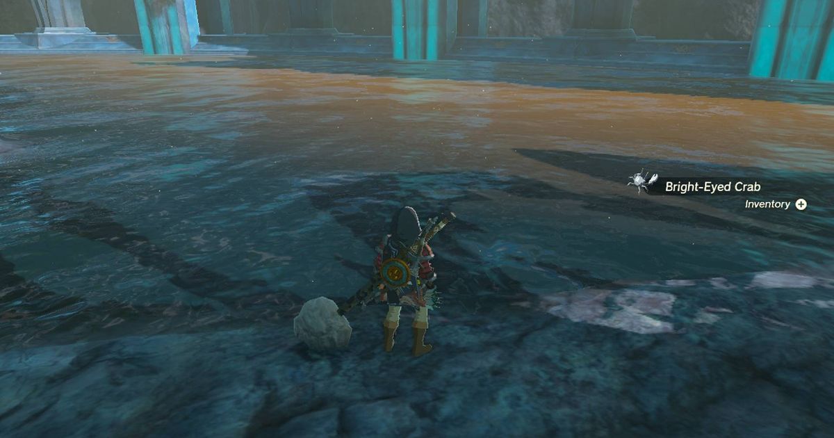 Link facing a body of water in Zelda Tears of the Kingdom.